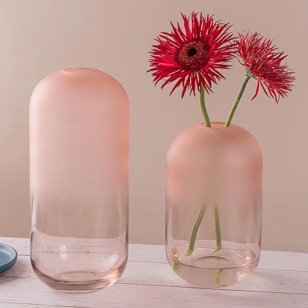 Frosted Glass Vase Hydroponic Flower Container Modern Desktop Decor for Home Office Floral Arrangements