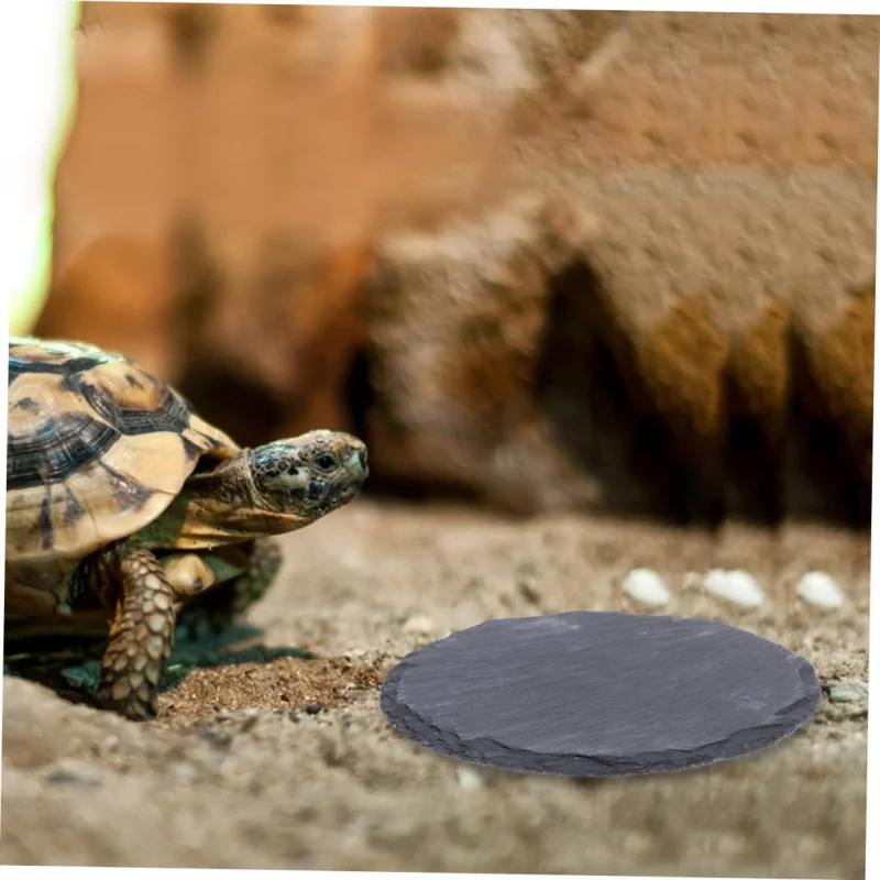 

Коробка для скалолазания, пейзажная рок-доска, черепаха, шлифовальный коготь, горшок для еды, гусеничный охлаждающий коврик, натуральный камень, черепаха, солнцезащитная платформа