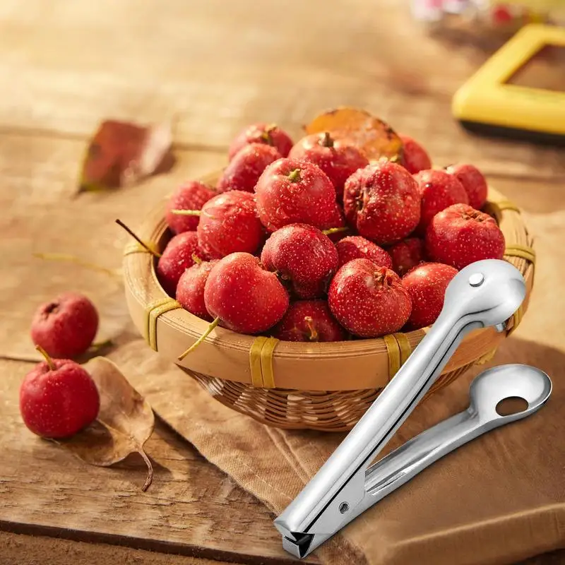 Cherry Pitter Tool Stainless Steel Stoner Tool Multifunction Household Hand-Pressing Remover For Jujube Fruit Cherry