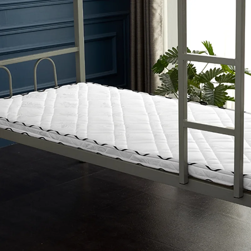 مرتبة نخيل جوز الهند، تأجير، شقة، مسكن، مرتبة