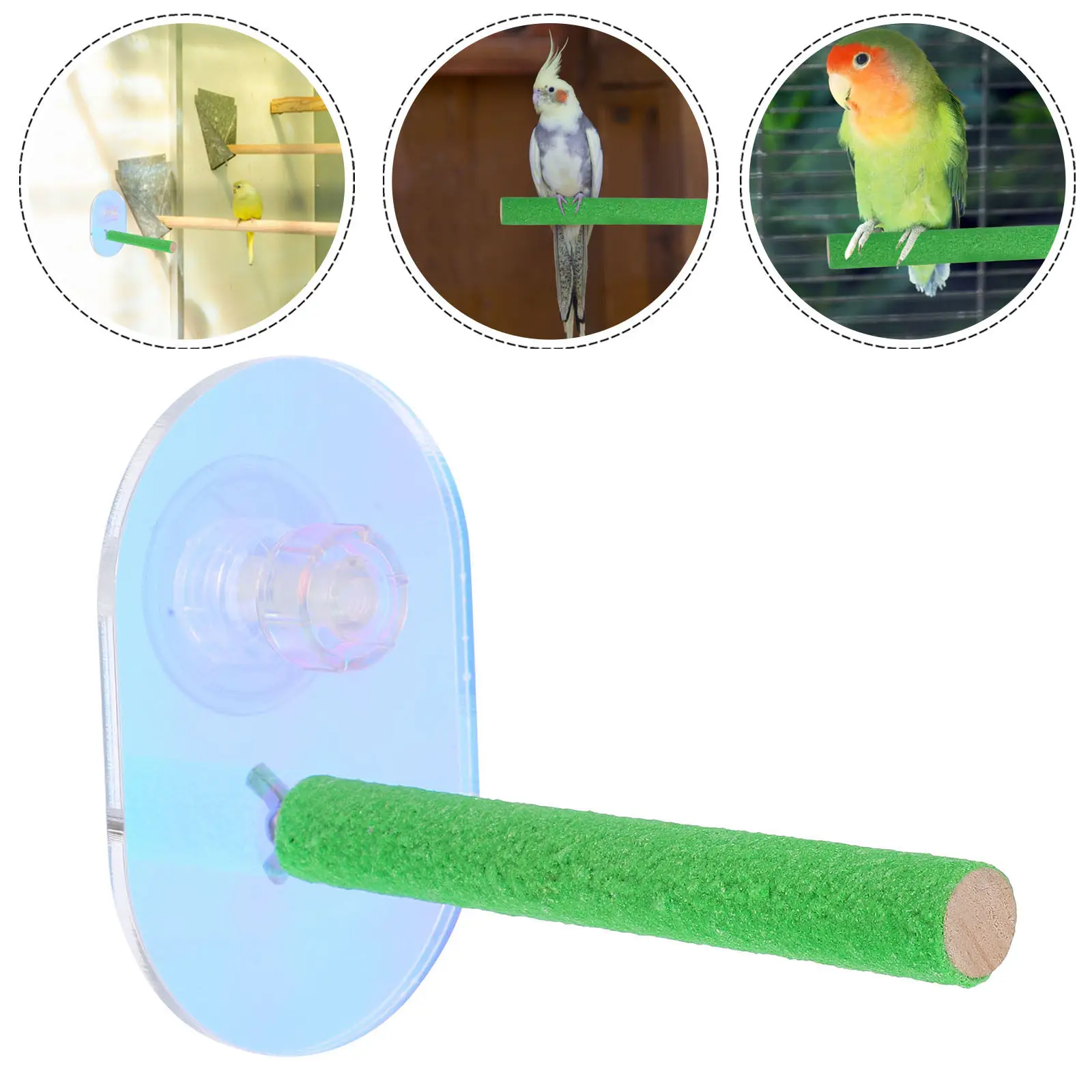 

Портативная подставка для птиц с присоской для попугаев и мелких птиц, натуральная деревянная жердочка для клетки, окна, ванны или путешествий