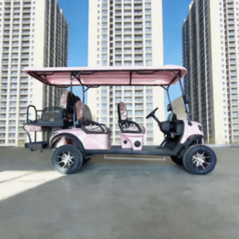 

Горячая новинка: электрический гольф-кар класса люкс с литиевой батареей 60В/72В и коричневым сиденьем для перевозки туристов