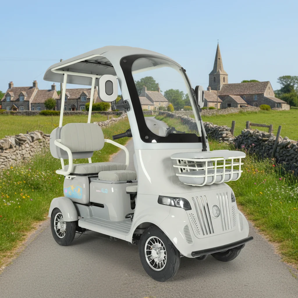 Factory Hot Selling New Style Closed Electric Tricycle for Elderly Ladies Mobility 1000W 3-Passenger 50-70km Range Household