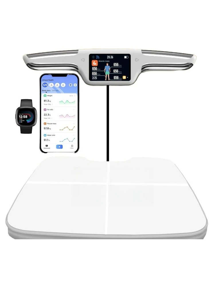 Body Fat Scale – Sm… - image