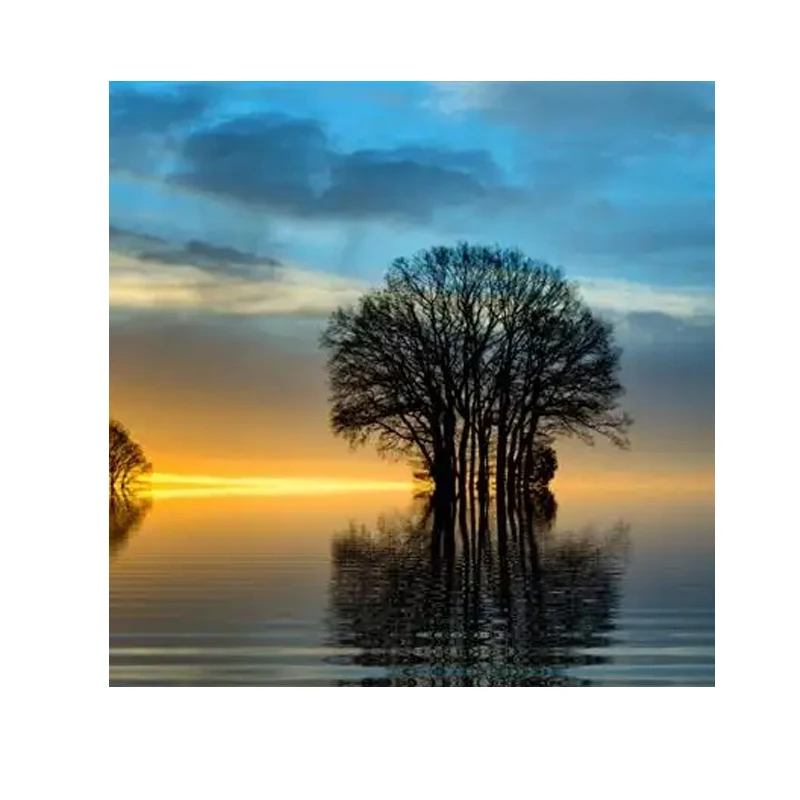 

20pcs Black Strip Poly Film Bubble Mailer Self Seal Padded Envelope Postal Bag For Long Item Packaging Bubble Envelope