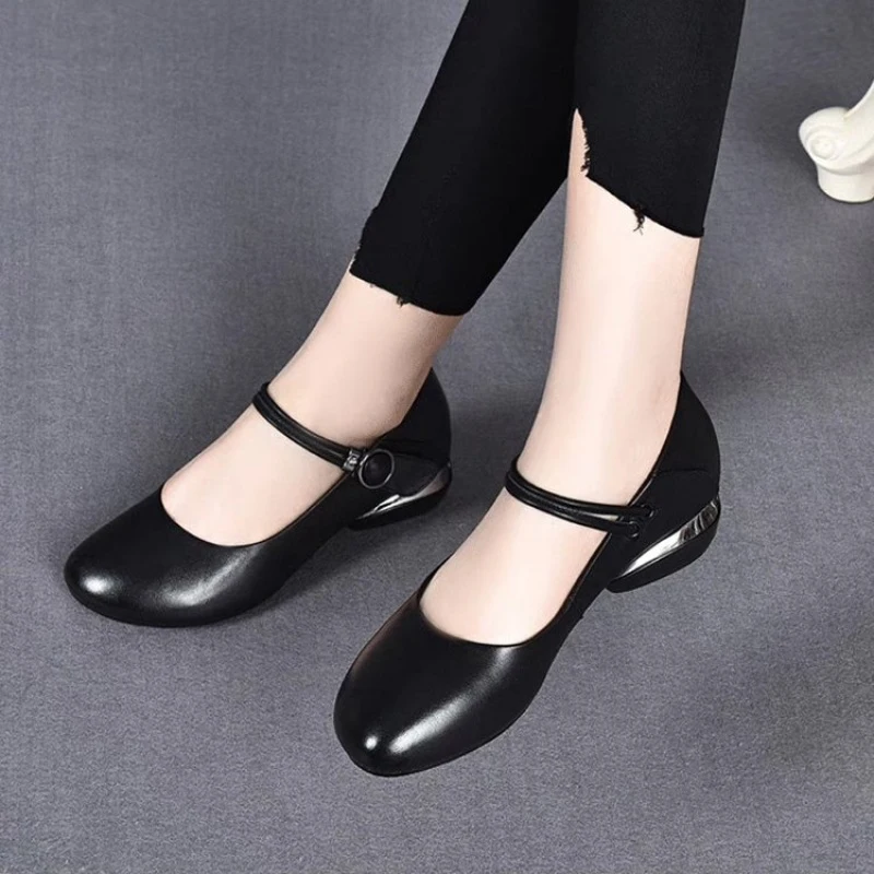 Damen Rutschfeste Schwarze Mary Jane Schuhe 2026 Neuerscheinung Runde Spitze Einzel-Schnalle Niedriger Blockabsatz Casual Pumps für Frauen
