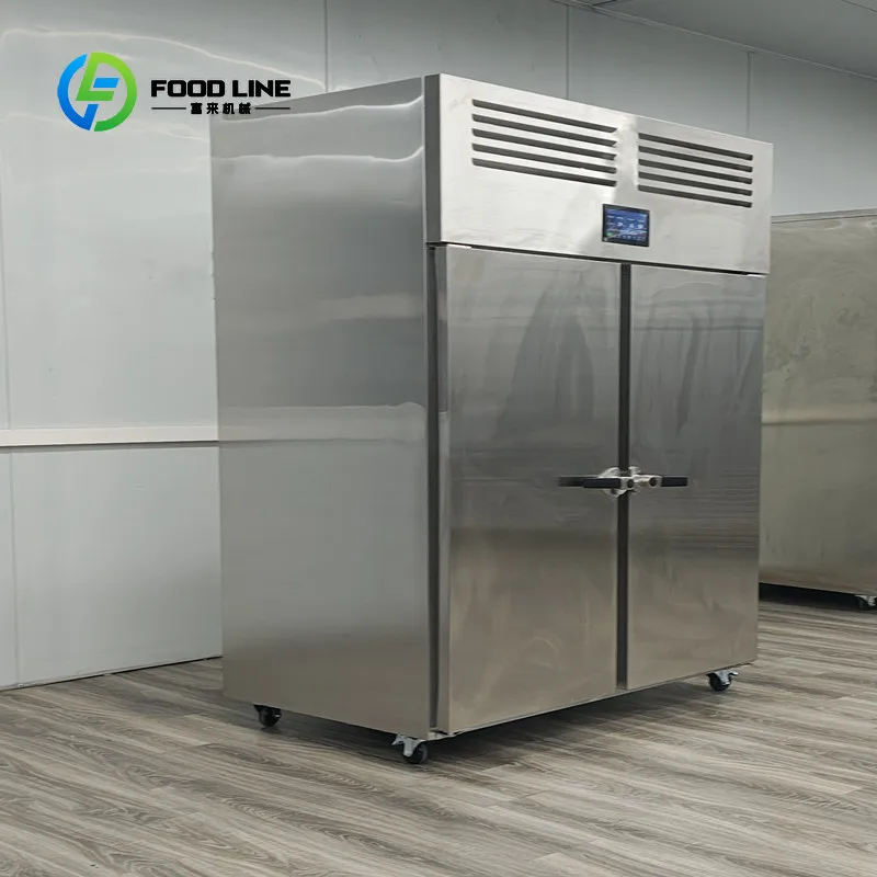 80kg Double Door Food Thawing Cabinet All Stainless Steel Meat Seafood Machine Customized Options aliexpress custom stickers