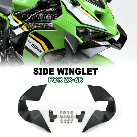 Wing‼️ Zx6r wings-AliExpress