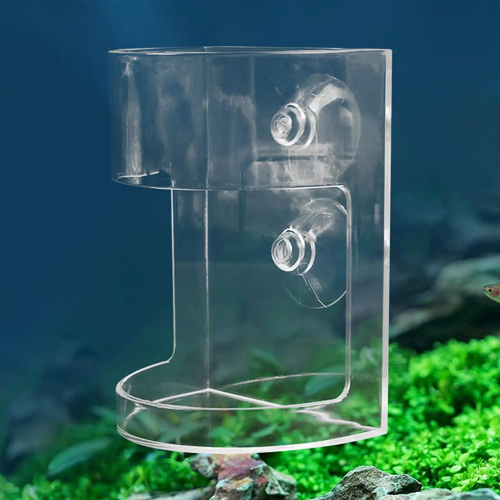 Alimentadores de peixes claros alimentador de tanque de peixes para aquários prato de alimentação de camarão de grande capacidade com ventosa anti-deriva para incubatório