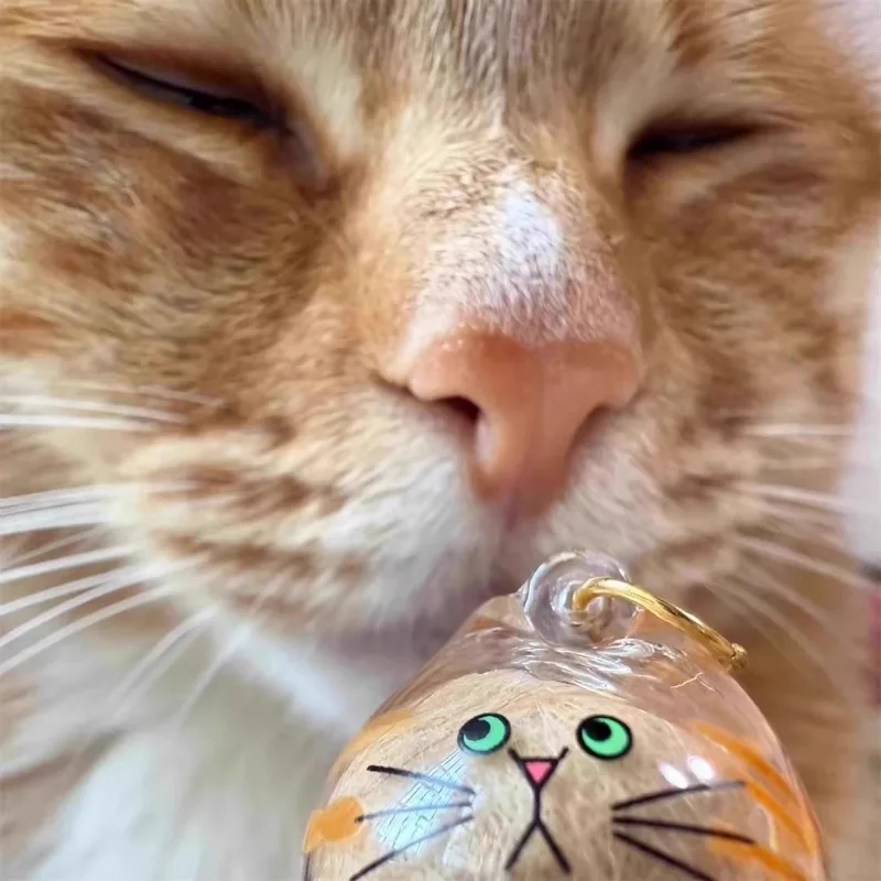 مجموعة أدوات تجميع شعر القطط، سلسلة مفاتيح مدلاة لشعر الحيوانات الأليفة، كبسولة تذكارية صغيرة للحيوانات الأليفة، تذكار حزن إبداعي لأصحاب القطط #3