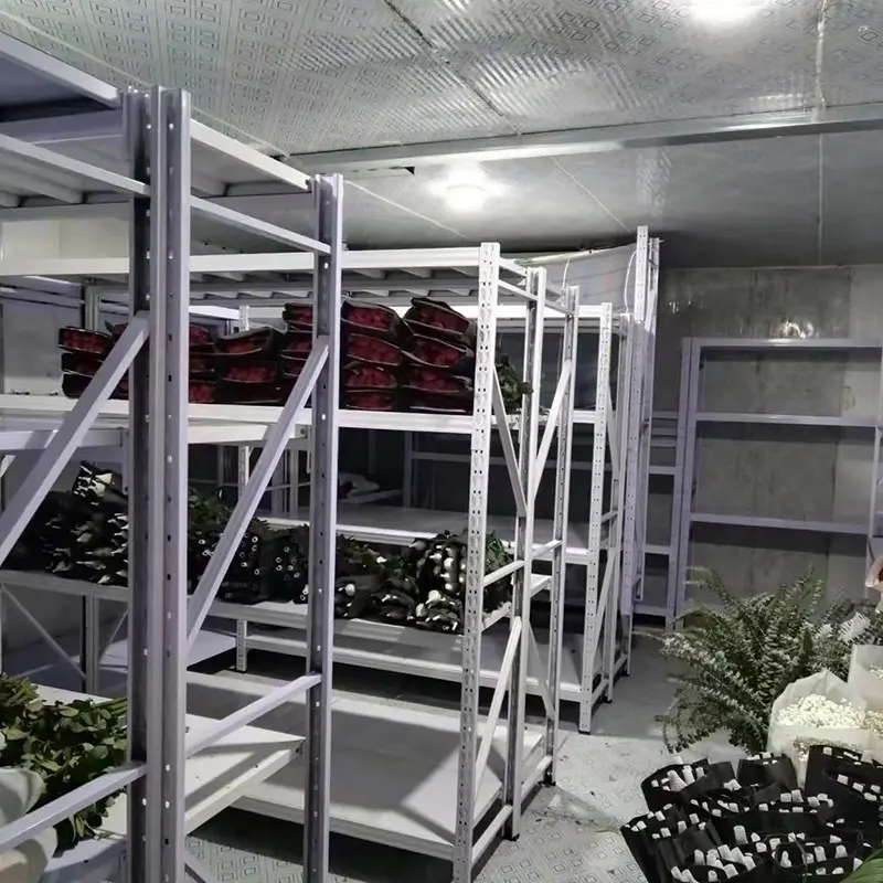 Camminata personalizzata ad alta efficienza nella stanza di congelamento nella stanza fredda fredda di refrigerazione commerciale dell'unità di raffreddamento