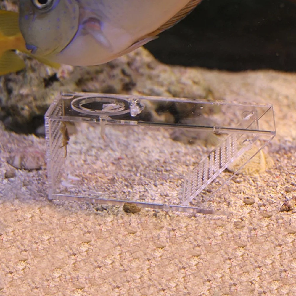 

Durable Acrylic Aquarium Crab Trap One Way Valve Transparent Fish Tank Trap Catching Device Shrimp Catcher Breeding Habitat