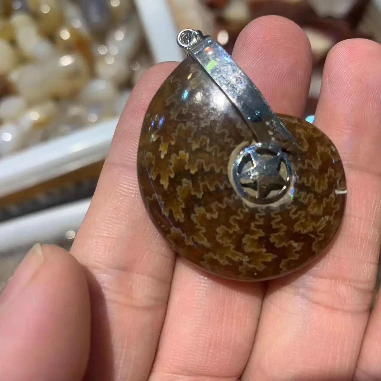 Ammonite Stone Pendant Natural Gemstone Necklace Pendants For Men For Women For Gift Wholesale !