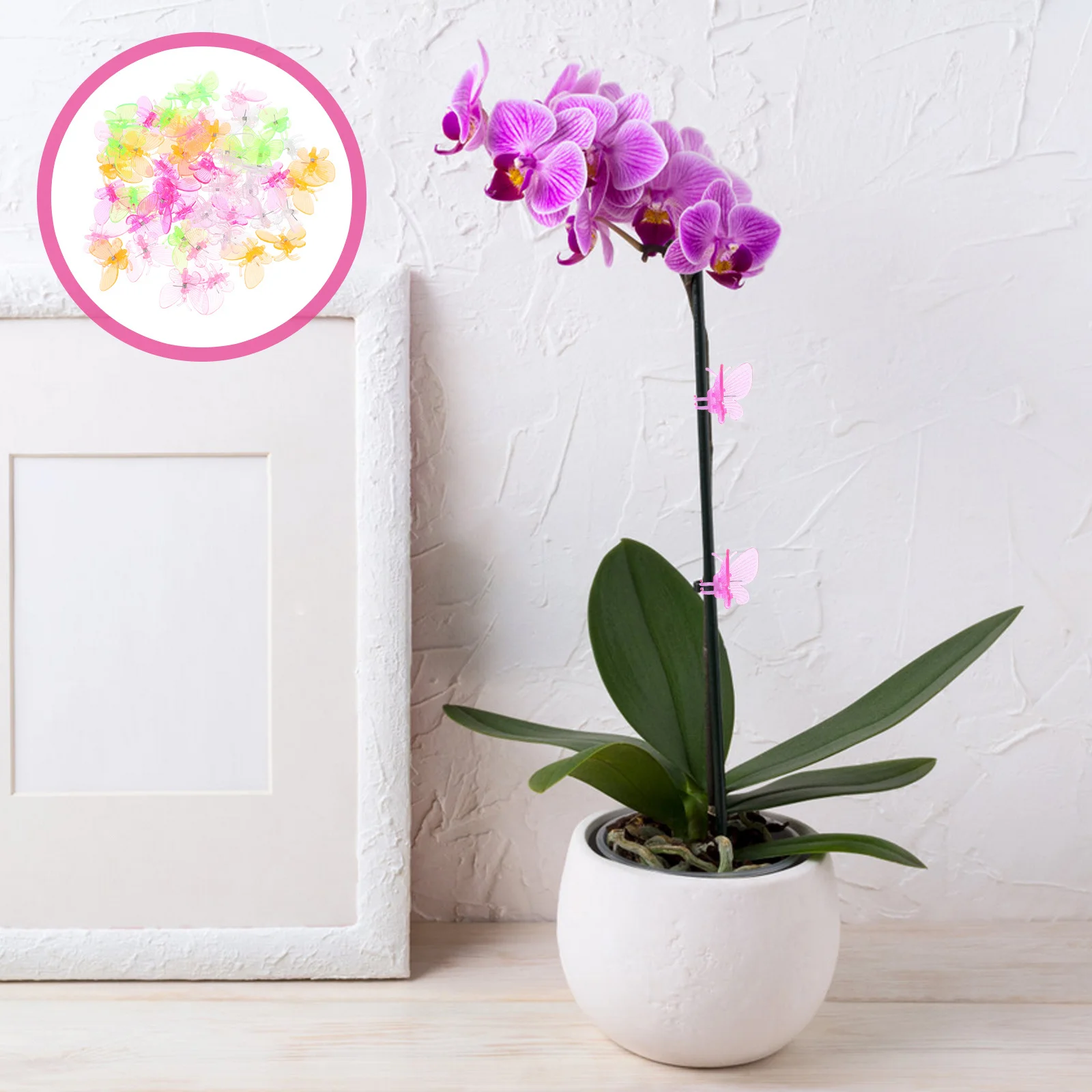 

50pcs Orchid Support Butterfly Plant For Climbing Plants Tiny Reusable Vine Clamps Flower Stem Fixing Tools Garden Wall Vine