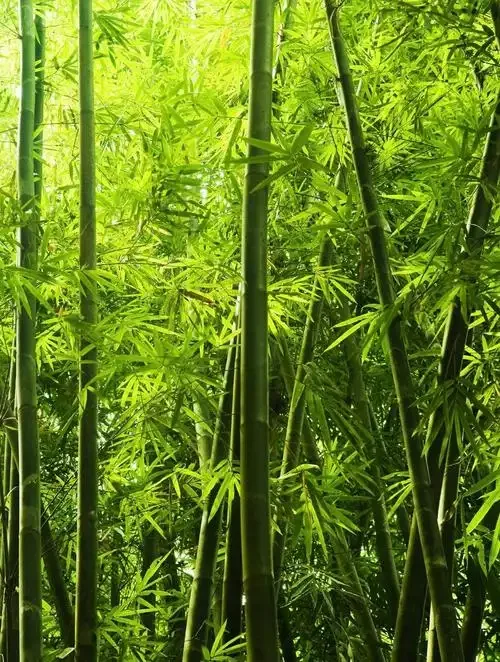 กริ่งประตูวิดีโอไร้สาย Tuya WiFi กล้อง HD พร้อมระบบเตือนภัยอัจฉริยะ สำหรับบ้าน ระบบอินเตอร์คอม WiFi สีดำและสีขาว