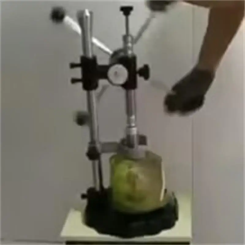 Fresh Coconut Opener Machine Green Coconut Capping Machine Coconuts Opening Tool
