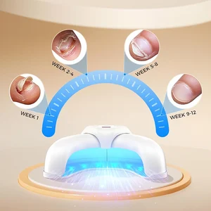 8 최고의 판매 곰팡이 -17
