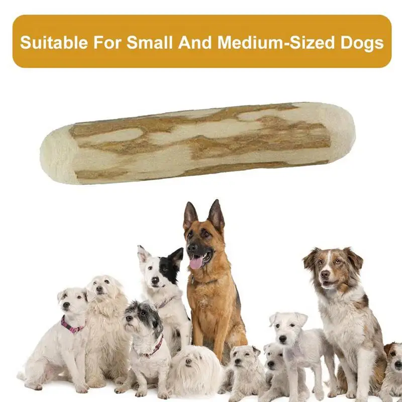 Bâtons de dentition en bois de café à mâcher pour chien, jouets interactifs pour animaux de compagnie, fournitures portables d'intérieur