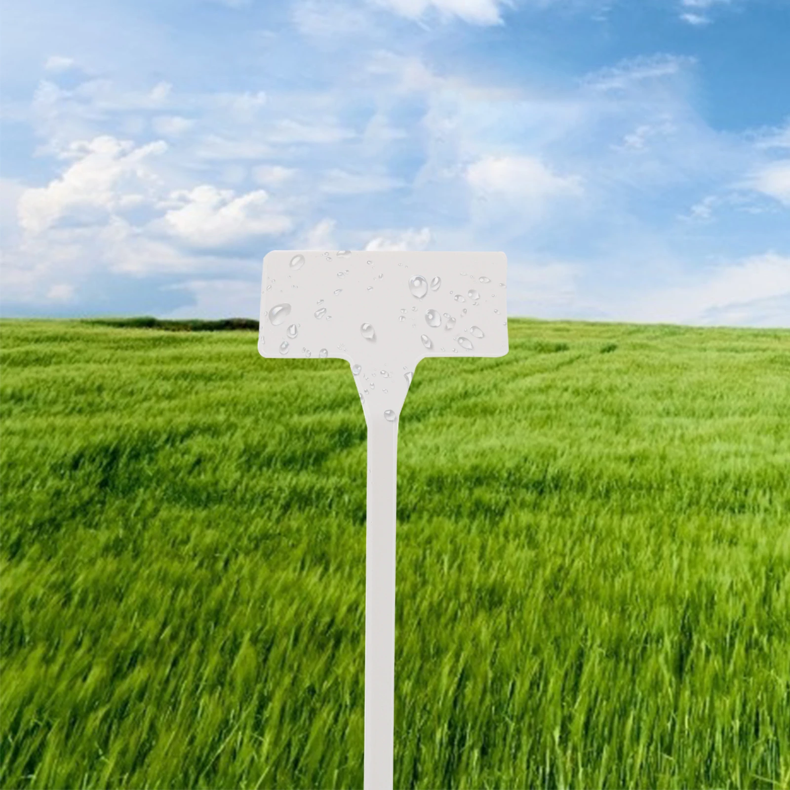 

20pcs Plastic Plant Labels T-Type Garden Markers For Outdoor Nursery Waterproof Tag Flower Gardening Label Plates Stake Signs