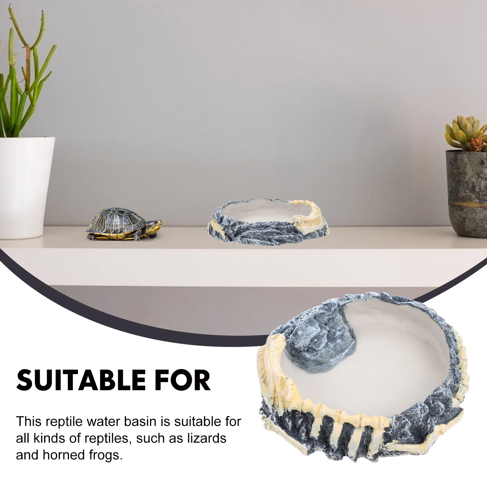 

Turtle Feeder Resin Material Anti Reptile Food Dish Leaf Bearded Dragon Multi function Pet Supplies Wear resistant
