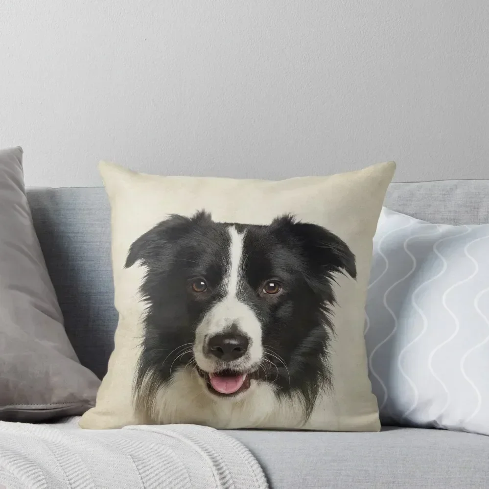 

Border Collie Art, Domestic Dog, Animal Portrait Throw Pillow Pillowcase Cushion Christmas Pillowcase Luxury Pillow Cover pillow