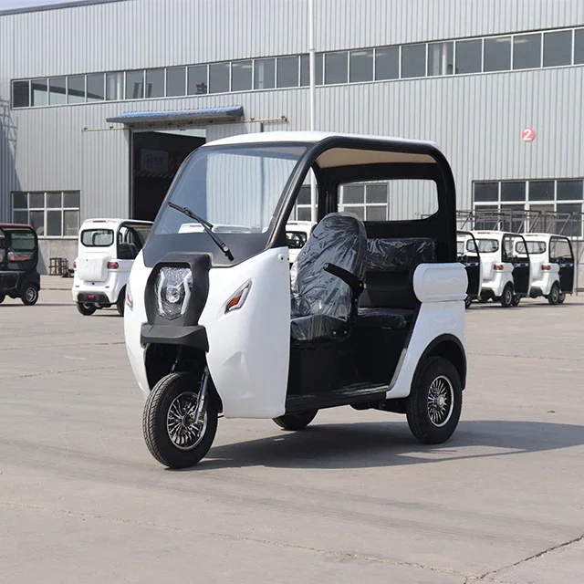 YANUO factory direct sales low price new electric tricycle 3 wheel electric mini micro electric car