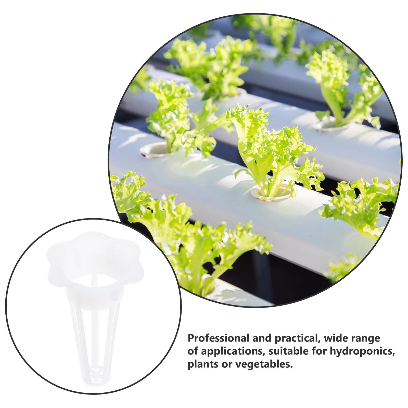 

50Pcs Plastic Planting Baskets Hydroponic Soilless Cups Professional Design for Healthier Plants Plastic Planting Basket