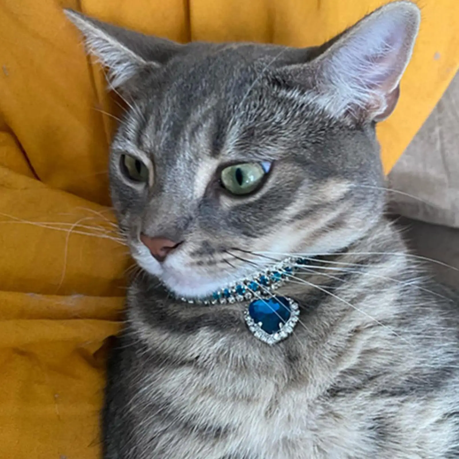 Luxus Kristall Katze Kragen Liebe Anhänger Halskette Haustier Kragen Einstellbare Kleine Hund Katze Hals Ring Strass Kragen Haustier Zubehör – Detail 9