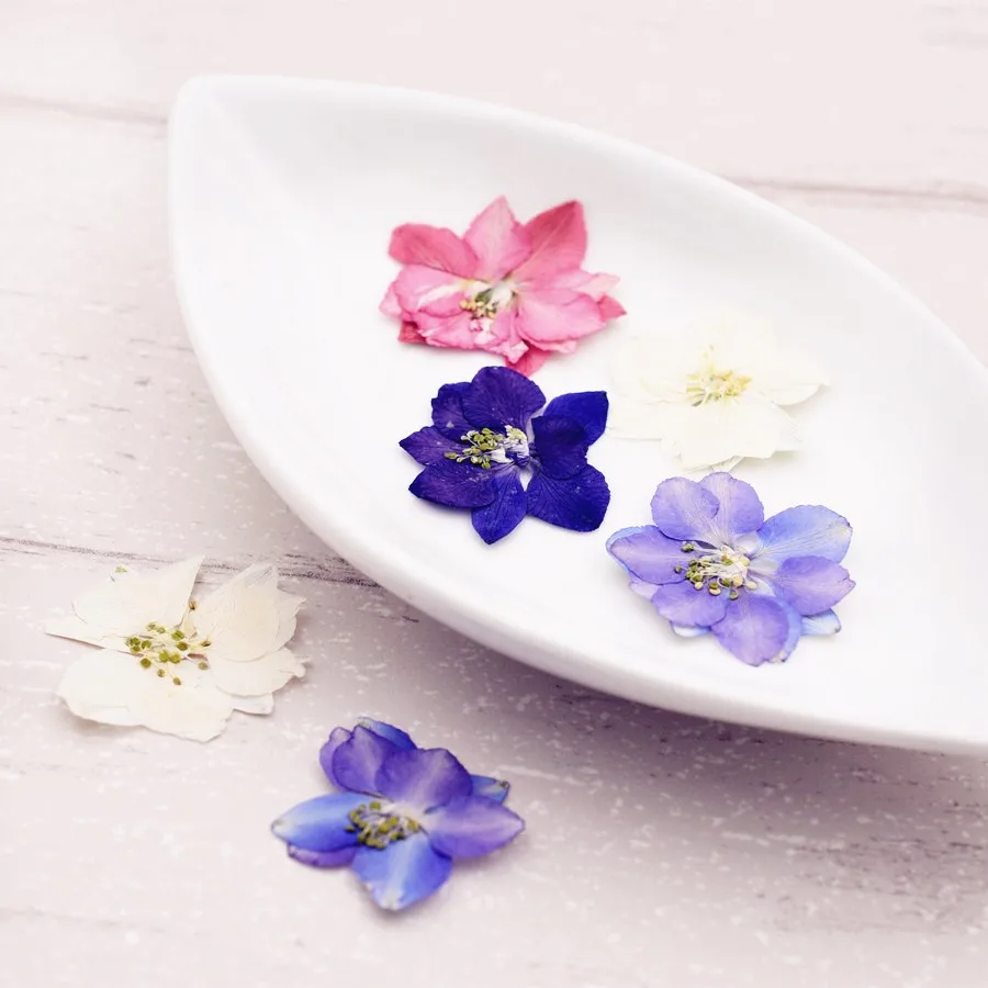 10pieces Gaura Lindheimeri Natural Dried Flowers DIY Pressed Herbarium Flower Decorative Crafts For Jewelry Making