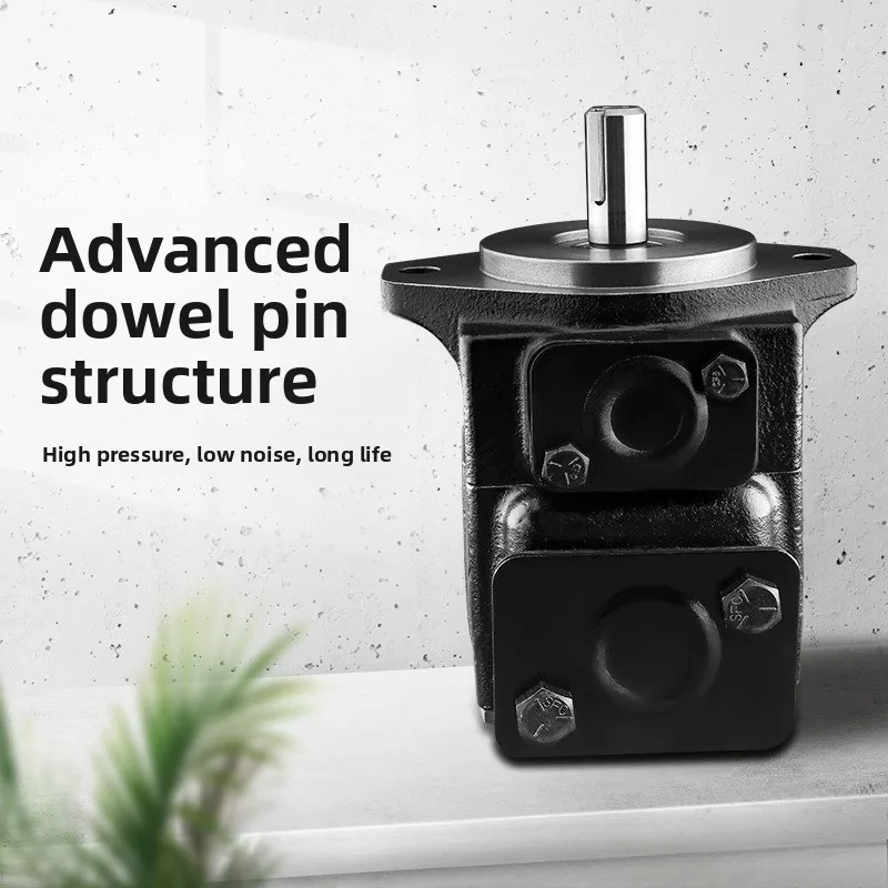 Single and double high pressure high speed quantitative electric installation vane pump