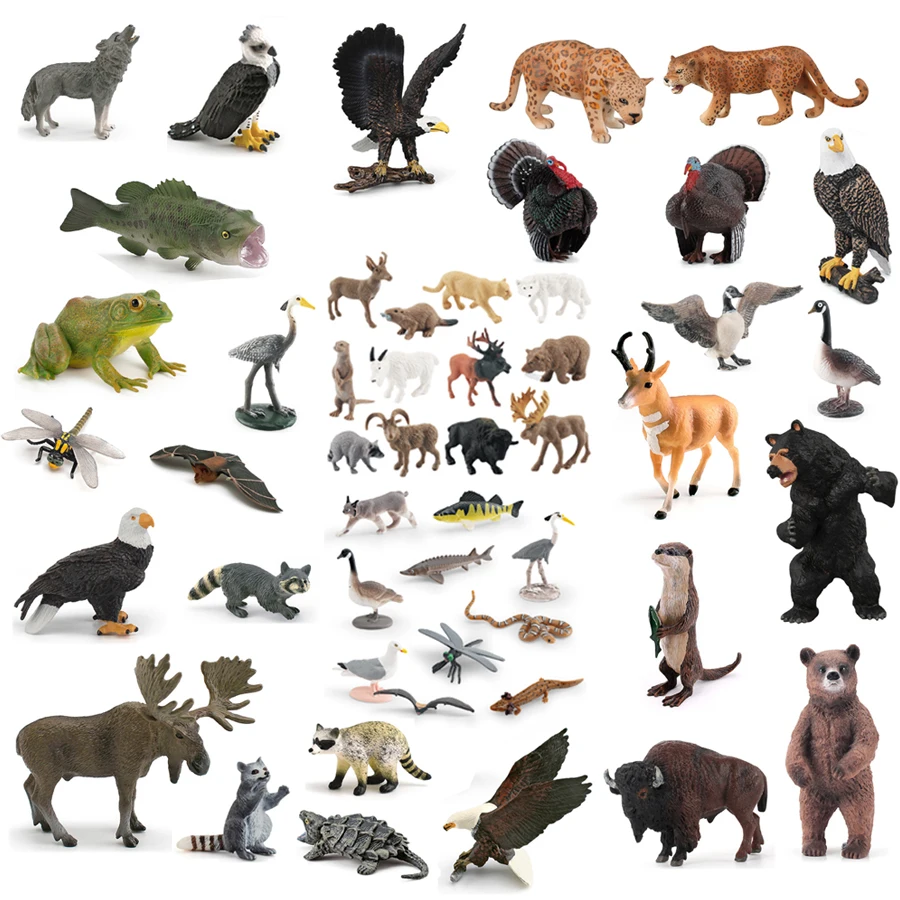 Realistic North American Animals Turkey Bald Eagle Grizzly Bear Bison Moose Raccoon Wildlife Figurines Educational Toy  For Kids