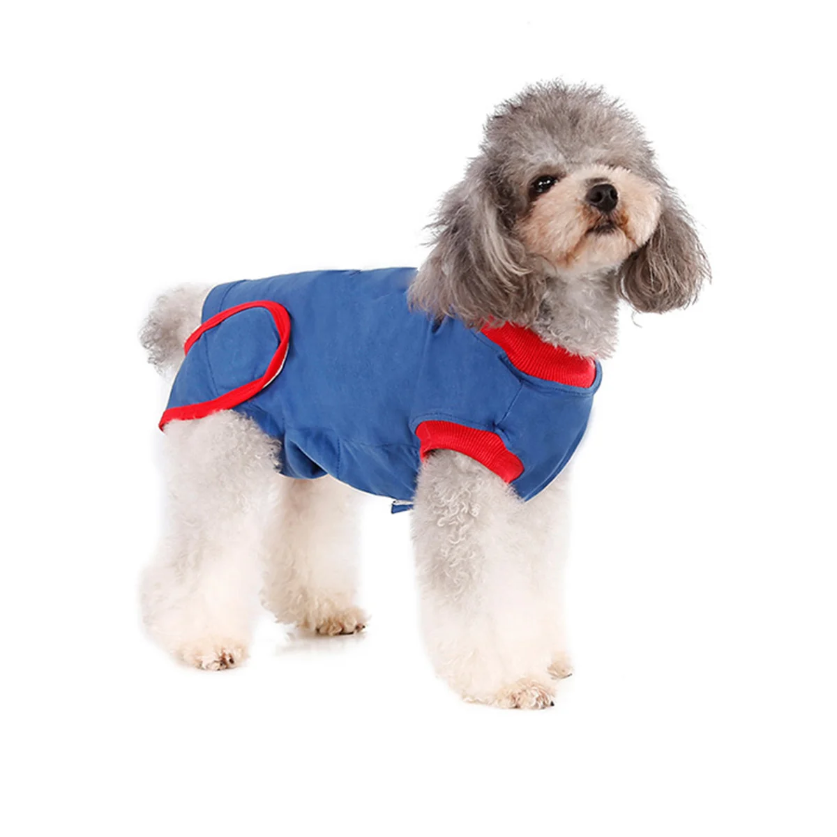 

Dog Sterilization Recovery Clothing Surgery Clothes for Pet Surgical Gown Costume