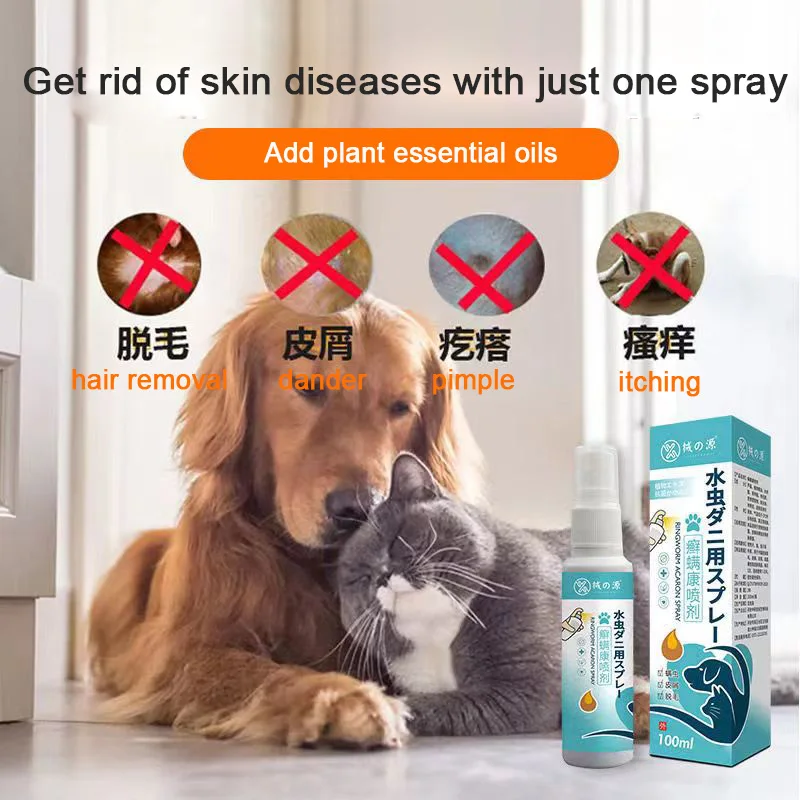 Dog nose hair loss dog ringworm cat ringworm dog cat skin disease pet hair removal dander itching pimple removal ringworm mite s