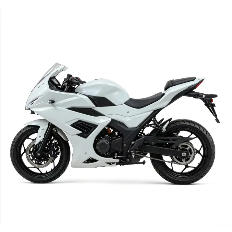 Manufacturer Direct Sales Suitable for Asian Market Two Wheel Electric Motorcycle Racing Class 3000-8000 W Conquer the Mountains