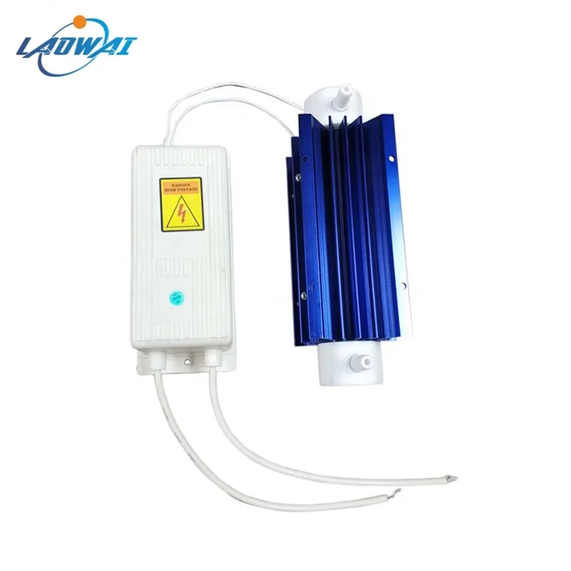 

220V/ 110V 10g Quartz Tube Ozone Generator Air Water Purifier With Power Supply