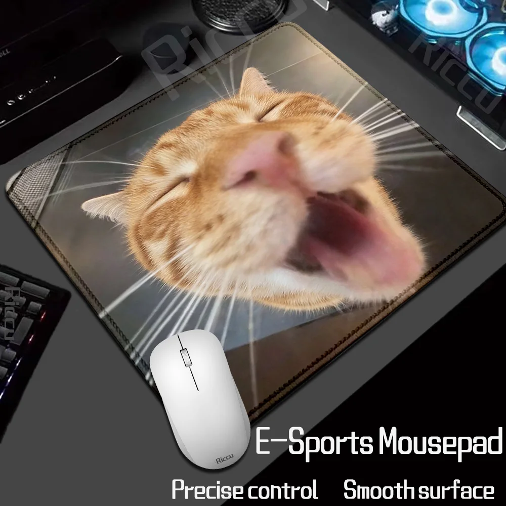 HD XL Kawaii Modische Beliebte Lustige Niedliche Katze Kleine Größe Meme Mauspad Laptop Büro Anime Mausunterlage Gummi Tastaturunterlage Schreibtischunterlage – Detail 15