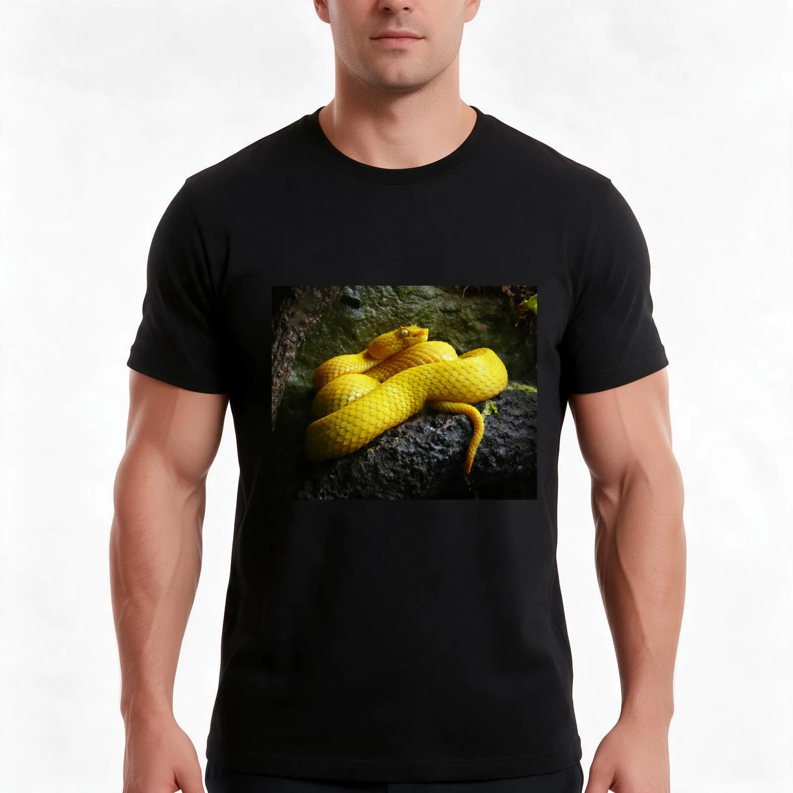 Eyelash viper T-Shirt, Summer Casual Cotton Tee, Oversized Streetwear Tops, Vintage Graphic Print, Loose Fit Short Sleeve