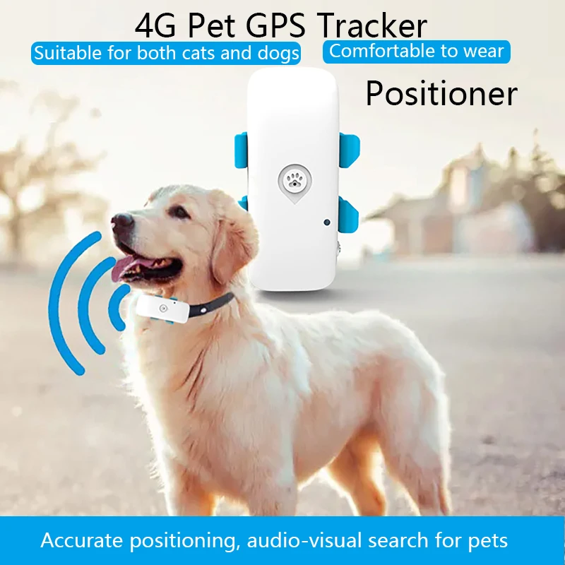 

4G GPS-трекер для домашних животных, IP67, водонепроницаемый портативный GPS-локатор, удаленное отслеживание местоположения и отслеживание в реальном времени для кошек и собак