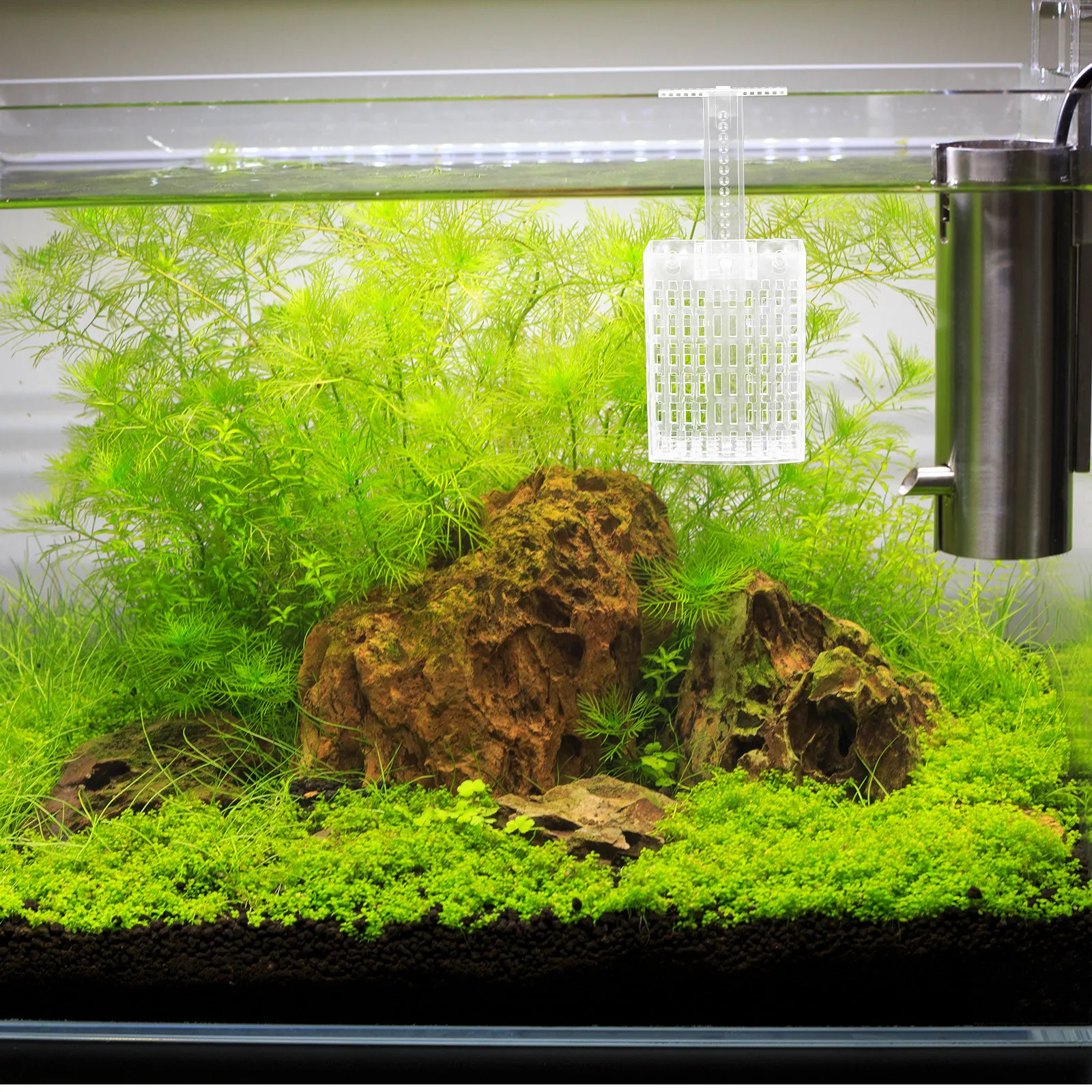 2Set Aquarium Plant Holder Adj - đánh giá và giá Aquarium Fish Pot