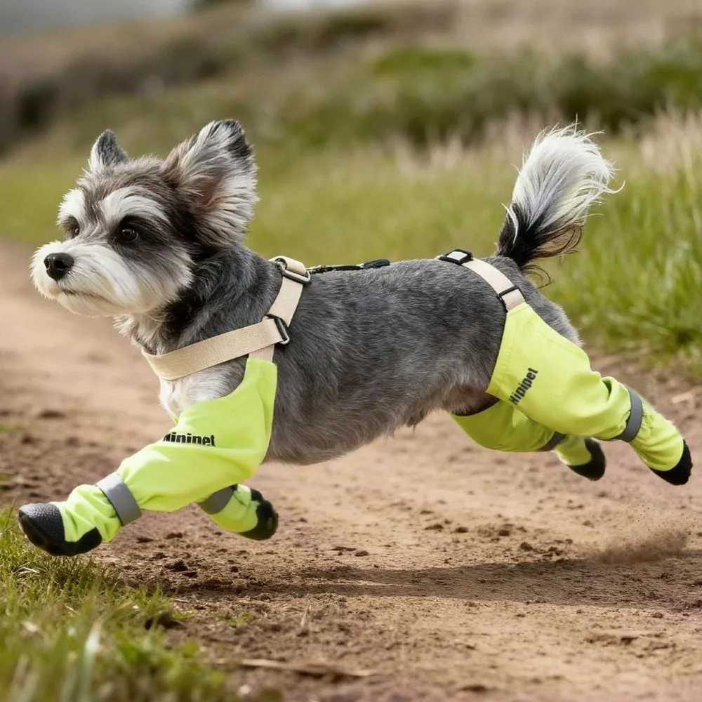 

Dog Boots Adjustable Dog Foot Covers Waterproof Anti-dirty Puppy Shoe Cover Non Slip Reflective Dog Rain Pants Pet Strolling
