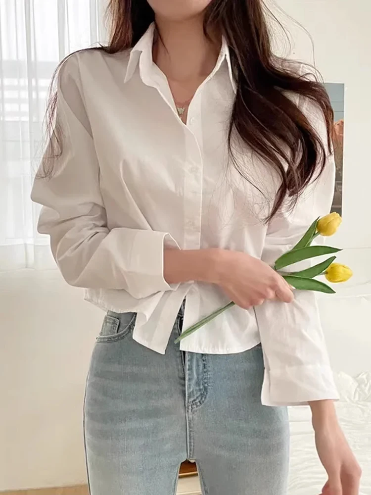 White Shirts Women Spring and Autumn Design Sense  Loose Small Shirt Lapel Single-Breasted Short Long sleeve Top