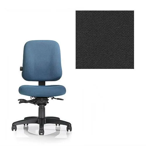 

Ergonomic Task Chair No Armrests Grade 1 Fabric Basic Black Office Study 1020 Customized