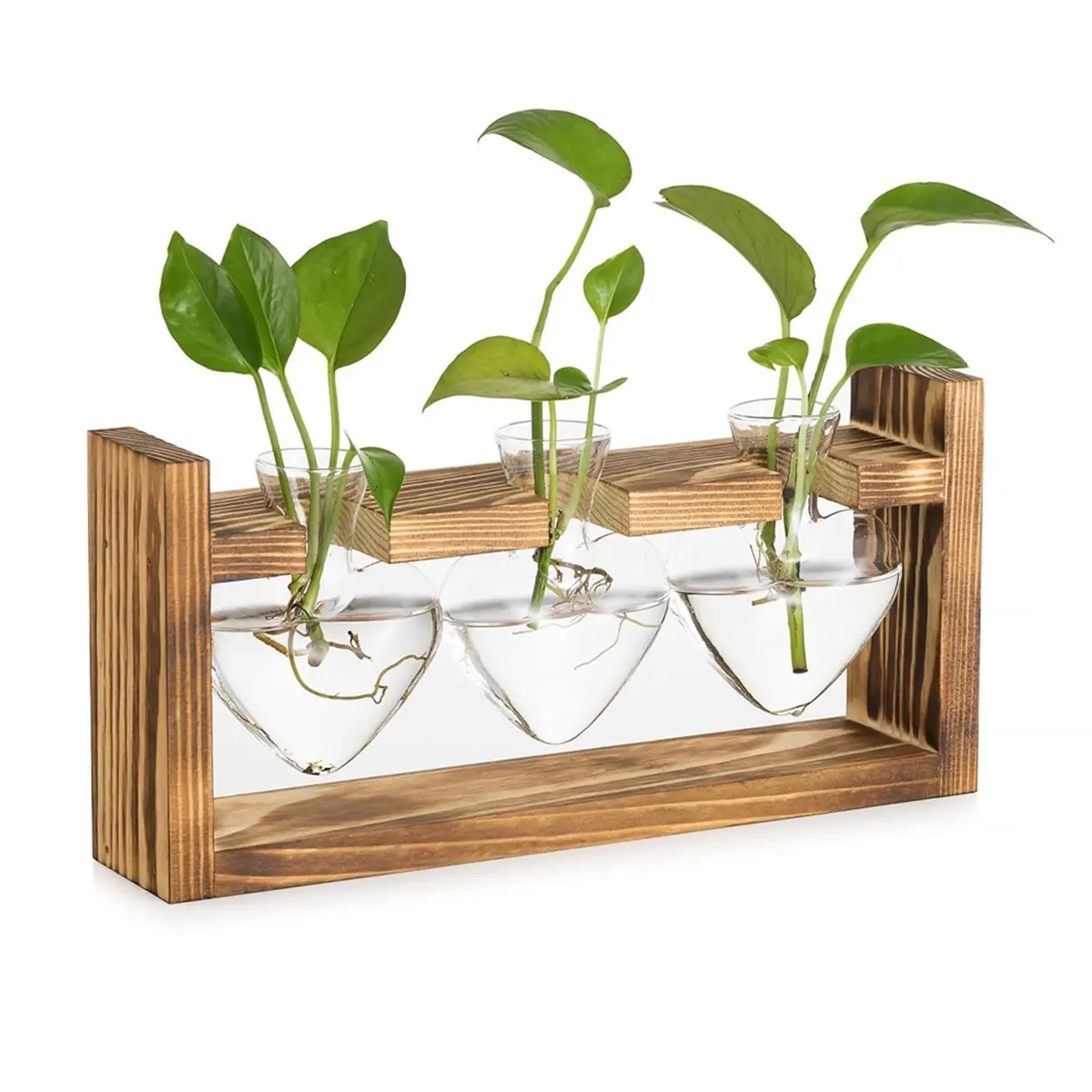 AA83 Glass Propagation Station for Plants: Vintage Vases Decoration with Wooden Frame Set for Living Room Shelf