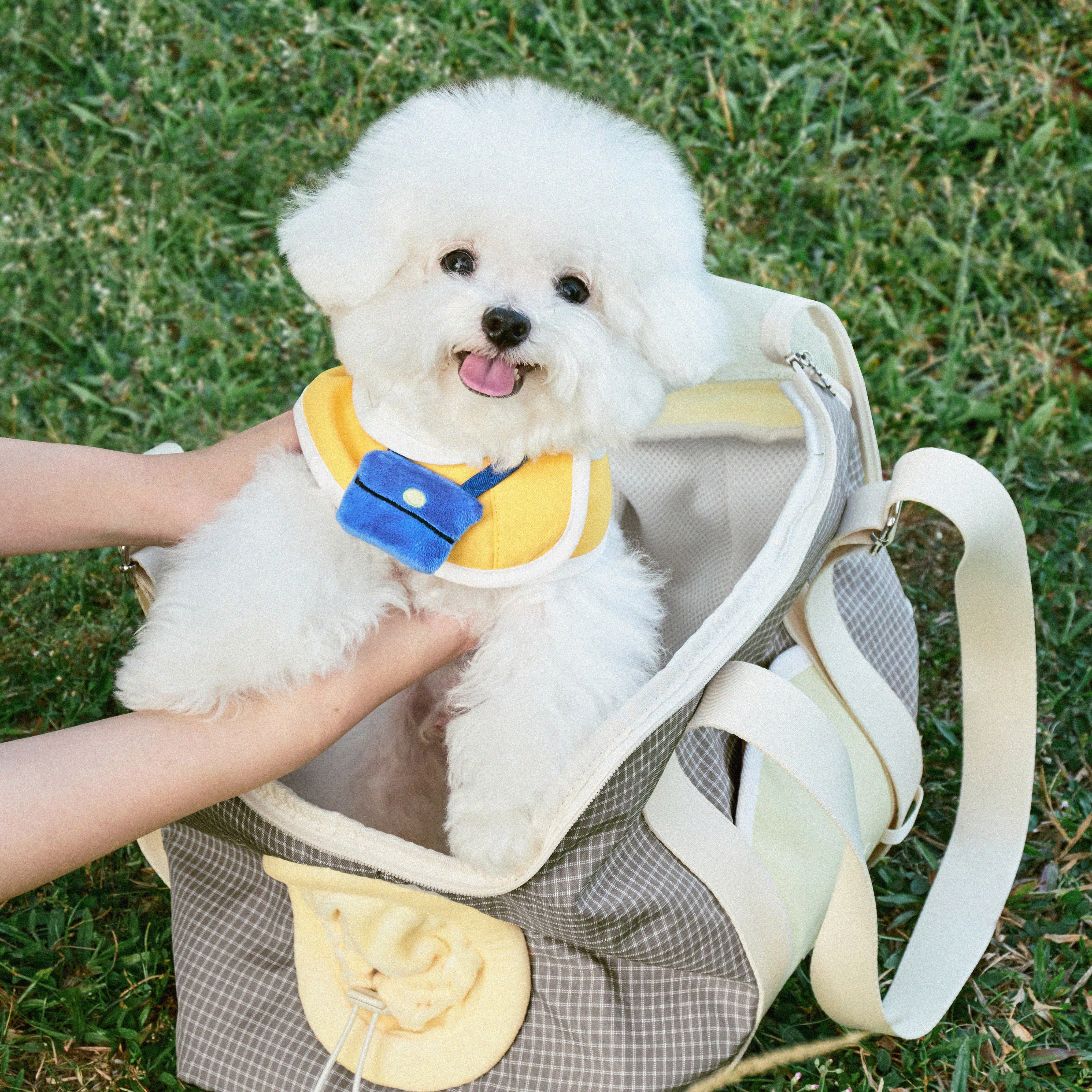 Pet Cat Dog Carrier Backpack, Color Block Mesh Tote Bag, Waterproof Pet Travel Shoulder Bag with Poop Bag Holder