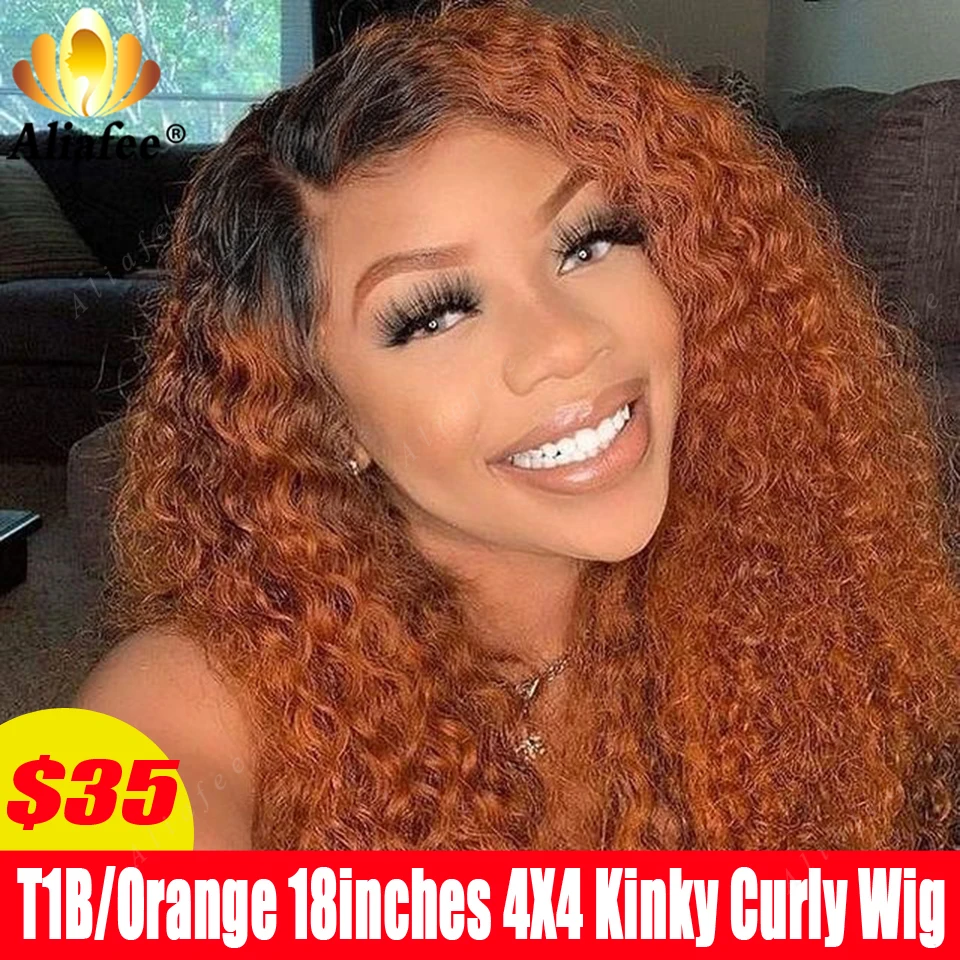 Discounted Items Ombre Brown And Blonde Body Wave 4x4 Lace Closure Wigs Pre Plucked Real Human Wigs For Women