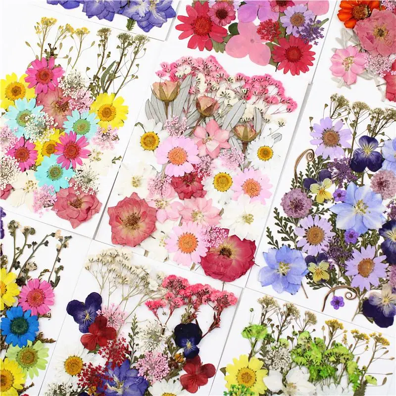 1Pack Dried Flowers Dry Plants For Rsein Molds Fillings Epoxy Resin Craft DIY Nail Art Decoration Pressed Flowers