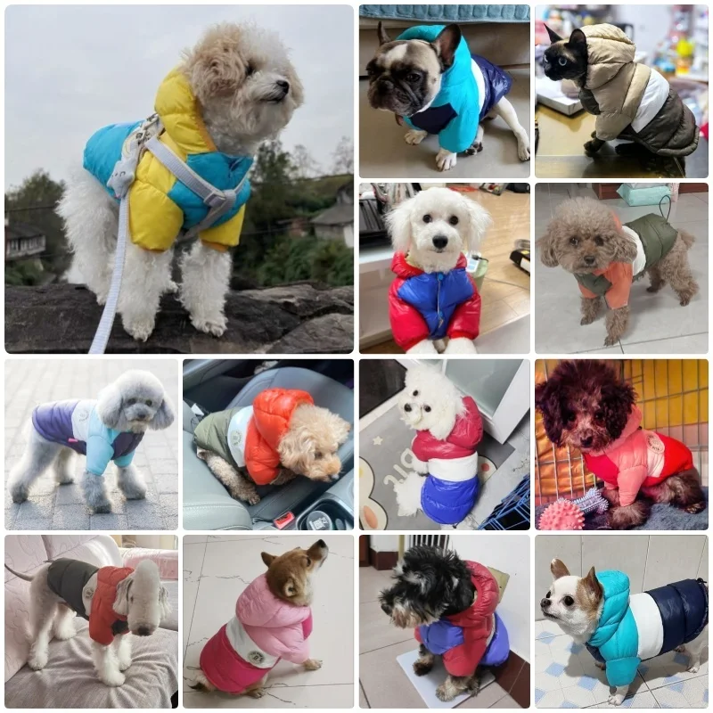 Fashion Dog Clothes Winter Warm Dog Down Jacket Pet Costume Cute Solid Puppy Coat Soft Cat Jacket Chihuahua Clothes Pet Outfits
