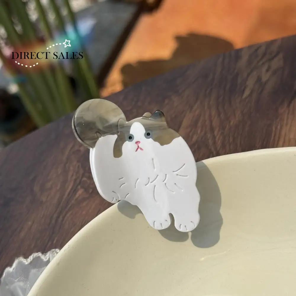 Cute Acetic Acid Acetate Cat Hair Claw Cartoon Pet Animal Hair Clip Korean Style Headdress Shark Clip Daily