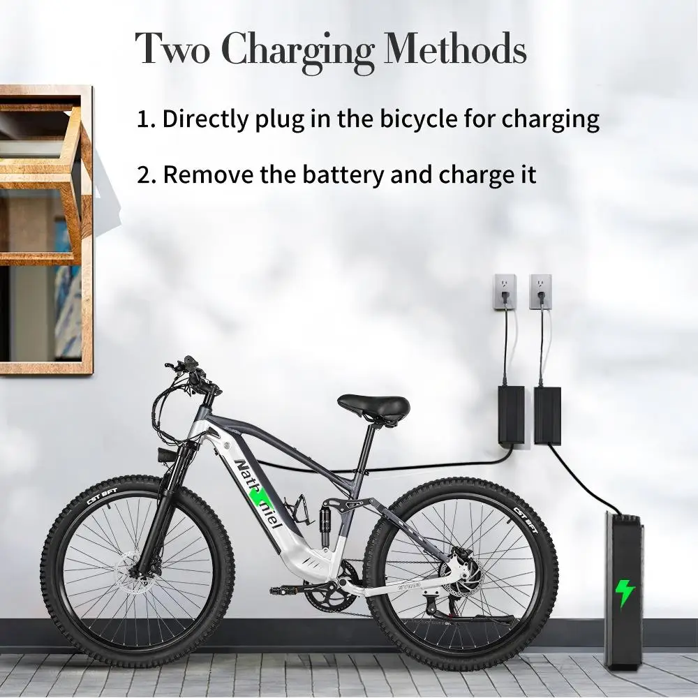 27.5in 1000W Electric Bike with 48V 20Ah Detachable Battery