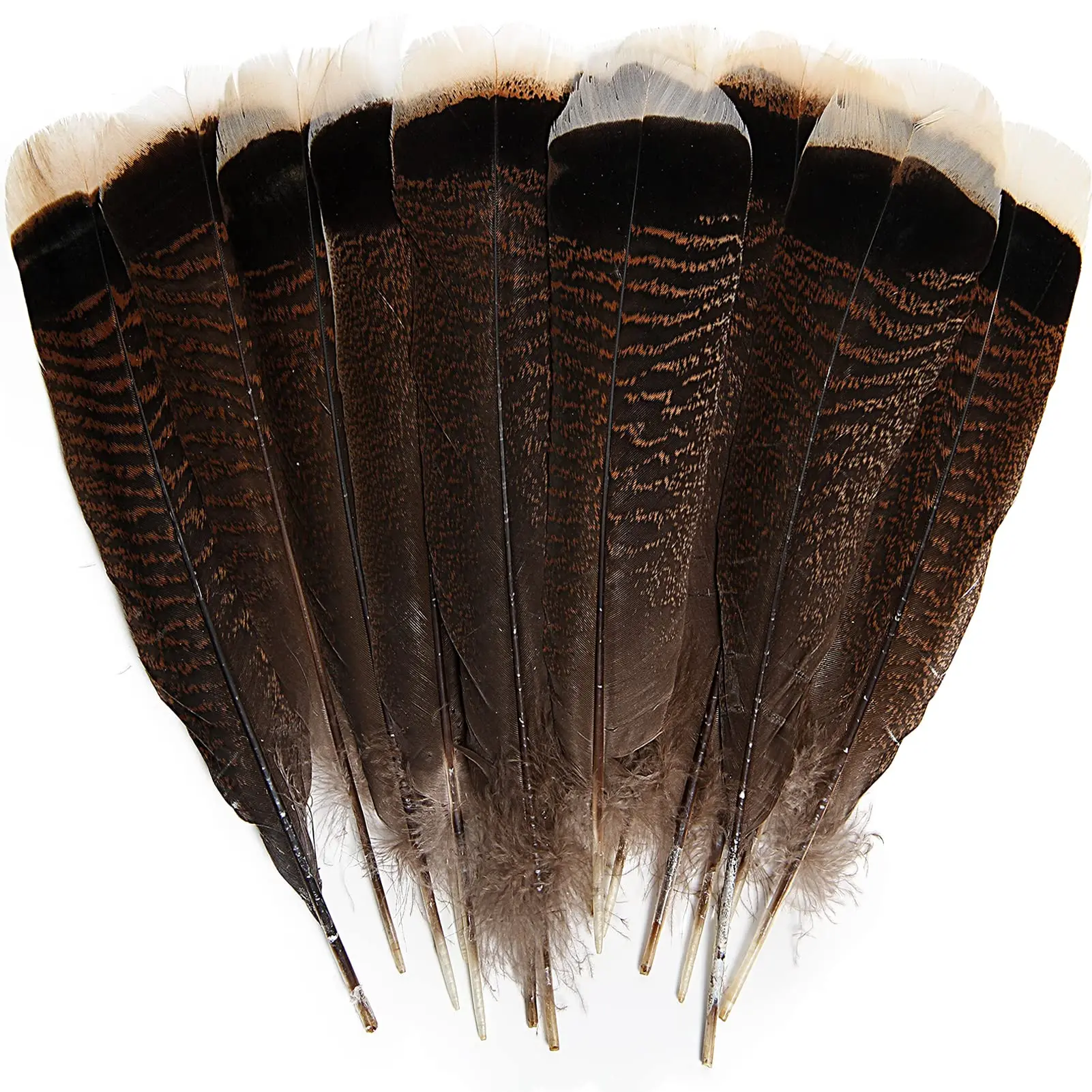 

10Pcs Natural Eagle Birds Feather Long Big Turkey Feathers for DIY Crafts Carnival Accessories Wedding Party Decoration